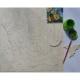 Atelier Terre Rouge - 4 à 6 ans - Jungle à peindre - 65 Pièces - 40 cm x 40 cm - puzzle éducatif