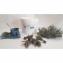 Aux Herbes Cathare - Bouquets de thym sauvage bio. 100 Unités. - Herbe et aromate
