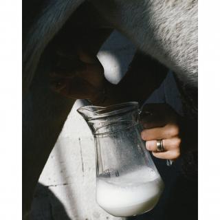 AZALANE - Licorne au lait d&#039;ânesse - Savon - 4668