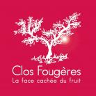 Clos Fougères, la face cachée du fruit - Ferme familiale depuis 1882, Bio dès 1998, nous produisons fruits, légumes, et vins IGP