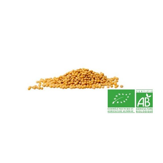 COULEURS D'ÉPICES - Moutarde jaune (graines) - 200  gr - Moutarde