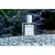 David LISS Parfums - Insolent - Parfum - 50 ml