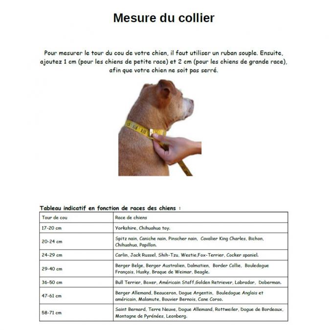 Delhomme et du Chien Création - Collier Fanny - Collier pour chien