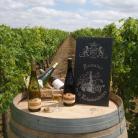 Domaine de la Raimbaudière - Venez découvrir nos vins d'Anjou ! Coteaux du Layon, Cabernet d'Anjou, Fines Bulles,...