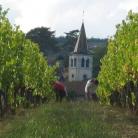 Domaine des Chambris - Venez découvrir nos vins de Bourgogne !
