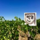 Domaine du Rin du Bois - Venez découvrir nos vins Touraine !
