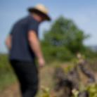 Domaine Les Patys - Découvrez nos vins et huiles d'olive BIO de notre belle région de Provence.