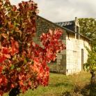 Domaine Patrick BARC - Venez découvrir nos vins en AOC Chinon