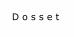 DOSSET - Logo
