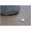 EmmaFashionStyle - Collier en argent massif pendentif renard - Collier - argent