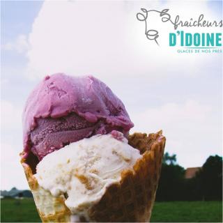 Ferme d'Idoine - Glace Framboise 2,5L - glace