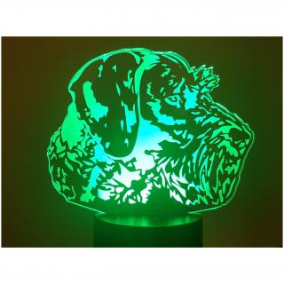 KISSKISSMETAL - Chien GRIFFON Drahthaar ou Korthals - Lampe d&#039;ambiance 3D à leds , gravure laser sur acrylique, alimentation par piles ou câble USB - Lampe d&#039;ambiance