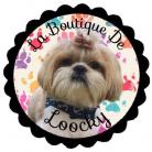 La Boutique De Loocky - Créations artisanales d'accessoires pour chien, Modèles souvent unique et fait sur mesure