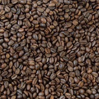 LA TRIBU - Café Sanchirio Pérou Grains 1kg Équitable &amp; Bio - Café - Café grain