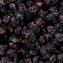 La Fée dans les Bois - Chutney de prune à l&#039;anglaise - Confiture - 0.225