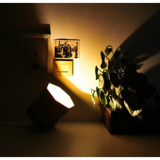 LEEWALIA - Lampe SPOT chêne et noir - Lampe de table - ampoule(s)