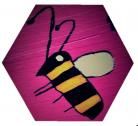 Les Ruchers de Wendy - la production dans le respect des abeilles et de leurs besoins