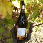 Les Vignes Saint Vincent - Venez découvrir nos vins Muscadet !