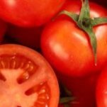 Le safran d'Athos - Confiture de tomates rouges - Confiture Artisanale