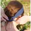 Les Noeuds-Noeuds - Headband à nouer denim foncé - Bandeau adulte