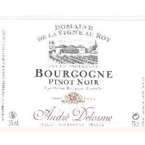 Maison André Delorme - Bourgogne Pinot Noir - rouge - 2011 - Bouteille - 0.75L