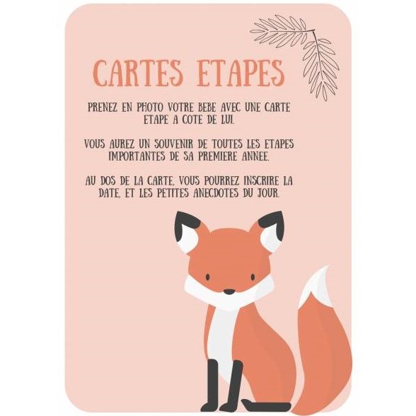 Naïris Bijoux - 12 Cartes étapes - Les étapes clefs de la première année de bébé - Thème animaux - Cartes étapes