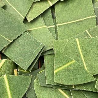 Naturo’Life - Eucalyptus (plante en vrac) - Tisane