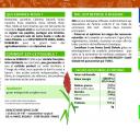 ORI SORGHO - Grain Roux Décortiqué Sorgho France Bio  1kg - épicerie