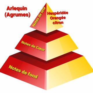 Sabribrille - 110grs - Bougie - Arlequin