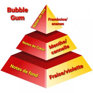 Sabribrille - Bubble gum 8grs - Fondant (cire)