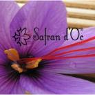 Safran d'Oc - Producteur de Safran, bulbes de Crocus Sativus de souche Quercy et produits safranés.
