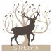 SilvEarth - Logo