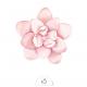 Sioou - Fleur rose x5 - Tatouage éphémère
