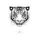 Sioou - Tigre x5 - Tatouage éphémère