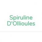Spiruline d'Ollioules - Producteur de spiruline à Ollioules