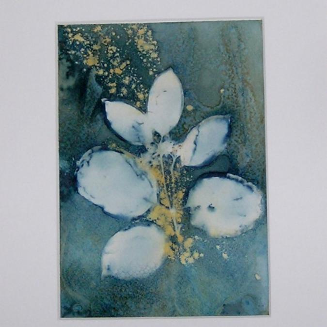 Terre de passion - Cyanotype, wet cyanotype fleurs et feuilles, pièce unique - Cyanotype art décoration