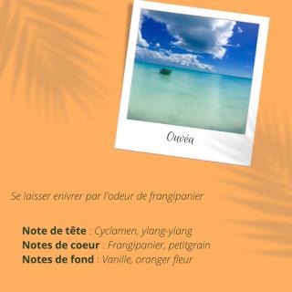 Tocane - Bougie Escapade en Nouvelle-Calédonie - Bougie - Ouvéa - Frangipanier
